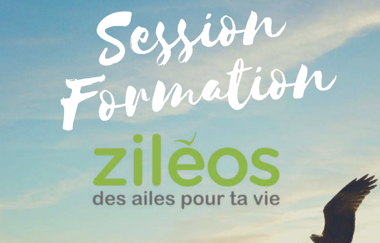Formation Ziléos : pour découvrir les outils pédagogiques Ziléos du 22 et 24 octobre 2021